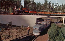 Trains at the Portland Zoo in Oregon Postcard