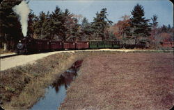 Express Freight through Cranberry Plantation Postcard