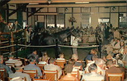 Keeneland Race Course - Yearling Sales Postcard