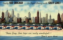 Really see Chicago... go sight-seeing with Gray Line! These Gray Line trips are really wonderfull!! Postcard