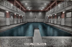 Shelton Hotel - Swimming Pool New York, NY Postcard Postcard