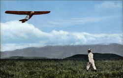 Plane Over Field in Japan Aircraft Postcard Postcard