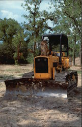 Fortney Excavating Postcard