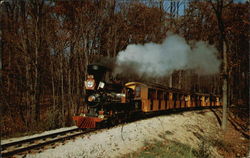 Model Railroad at Milwaukee County Zoo Postcard