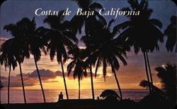 Costas de Baja California Mexico Postcard Postcard