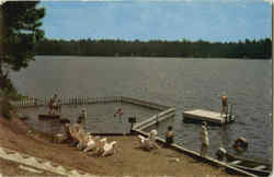 Gleasman's Long Point Cottages Postcard