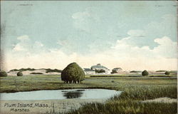 Marsh View Postcard