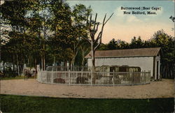 Buttonwood -- Bear Cage New Bedford, MA Postcard Postcard