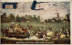 Red Cross Cotton, From Start to Finish Advertising Postcard Postcard