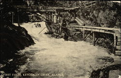 First Falls, Ketchikan Creek Alaska Postcard Postcard