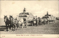 Hauling Wool to market, a Product of the Plains Postcard