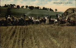 Thrashing Wheat in the West Farming Postcard Postcard