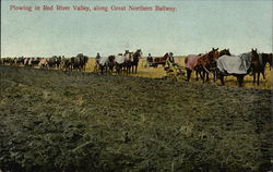 Plowing in Red River Valley, along Great Northern Railway Postcard