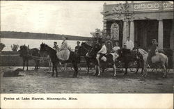 Ponies at Lake Harriet Minneapolis, MN Postcard Postcard