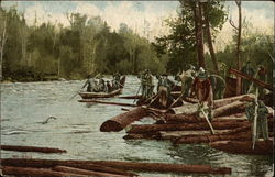 Men Move Felled Logs Along a River Logging Postcard Postcard