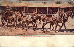 Buffalo Bill's Deadwood Stage Coach Horses Postcard Postcard