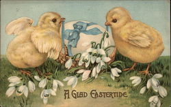 A Glad Eastertide With Chicks Postcard Postcard