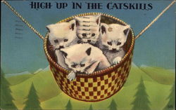 High Up in the Catskills Postcard Postcard