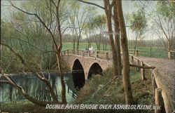 Double Arch Bridge Over Ashyelot Postcard