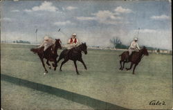 Playing Polo in the Carolinas Postcard Postcard