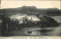 Whale Fishery Tosa, Japan Postcard Postcard