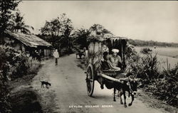 Ceylon Village Scene Postcard