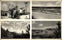 Multi View Postcard