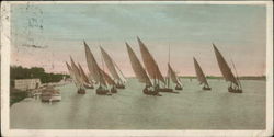 Sailing Boats on the Nile Postcard