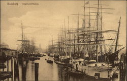 Segelschiffhafen Postcard