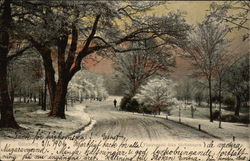 Winter Scene in Slottsskogen Gothenburg, Sweden Postcard Postcard