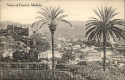 View of the City Funchal, Madeira Portugal Postcard Postcard