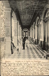 Corredor en el Castillo de Chapultepec Postcard