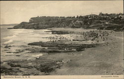 View of Beach Postcard