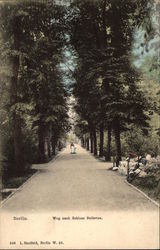 Weg nach Schloss Bellevue Berlin, Germany Postcard Postcard