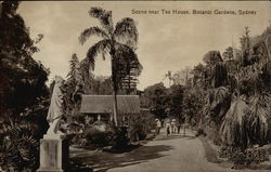 Botanic Gardens - Tea House Postcard