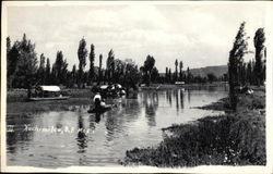 Xochimilco Mexico City, Mexico Postcard Postcard