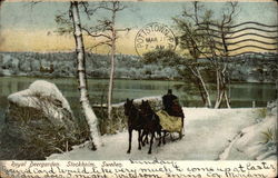 Royal Deergarden Postcard