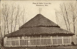 Plaza de Gallos - Cock Pit Matamoros, Mexico Postcard Postcard