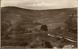 Luccombe Common - Isle of Wight Shanklin, England Postcard Postcard