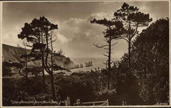 The Needles from Alum Bay Isle of Wight, England Postcard Postcard