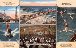 The World Famous Steel Pier "Rex," Wonder Dog, on Aquoplane in Big Water Circus Postcard