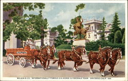 Wilson & Company Clydesdale Team Postcard