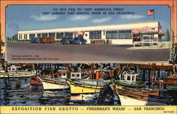 Exposition Fish Grotto-Fisherman's Wharf Postcard