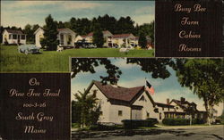 Busy Bee Farm Cabins and Rooms South Gray, ME Postcard Postcard