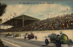 Auto Races at the Fair Grounds Tampa, FL Postcard Postcard