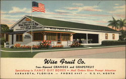 Wise Fruit Co Postcard