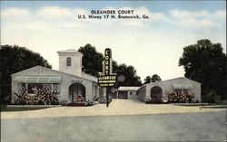 Oleander Court North Brunswick, GA Postcard Postcard