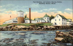 Fish Hatchery & Lobster Rearing Station Postcard