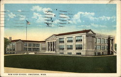 New High School Owatonna, MN Postcard Postcard