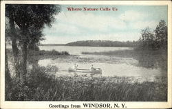 Greetings from Windsor New York Postcard Postcard